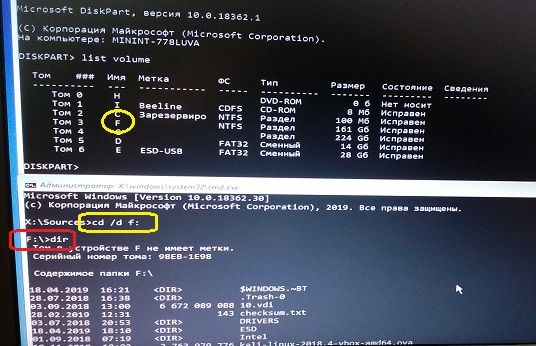 содержимое разделов из-под cmd